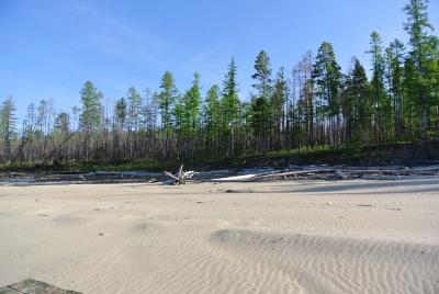 Прикрепленное изображение: DSC_5263.JPG