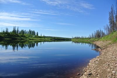 Прикрепленное изображение: DSC_5357.JPG