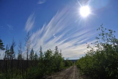 Прикрепленное изображение: DSC_5345.JPG