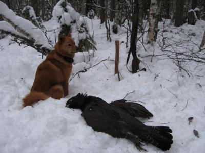 Прикрепленное изображение: 2.jpg