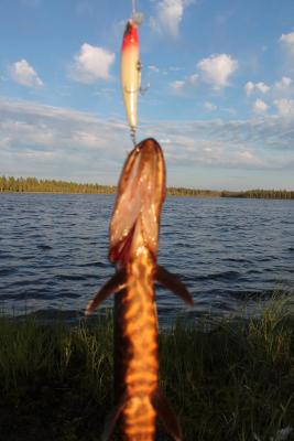 Прикрепленное изображение: Изображение 253.jpg