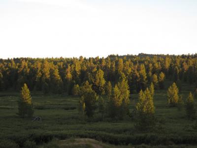 Прикрепленное изображение: IMG_4949.jpg