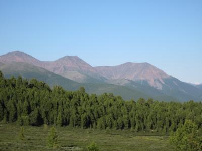 Прикрепленное изображение: IMG_4899.jpg
