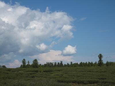 Прикрепленное изображение: IMG_5071.jpg