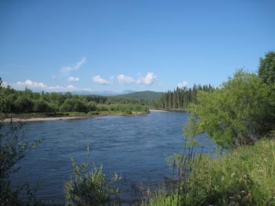 Прикрепленное изображение: IMG_5050.jpg