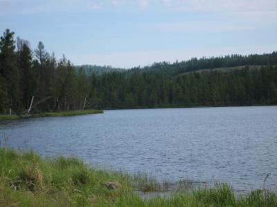 Прикрепленное изображение: IMG_5004.jpg
