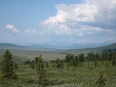 Прикрепленное изображение: IMG_5086.jpg