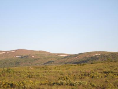 Прикрепленное изображение: IMG_4943.jpg