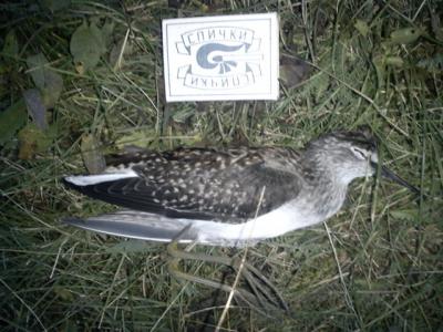 Прикрепленное изображение: DSC01029.JPG