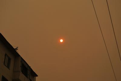 Прикрепленное изображение: DSC_0111.JPG