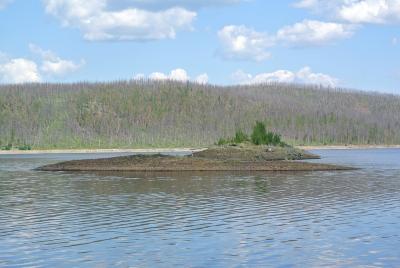 Прикрепленное изображение: DSC_5845.JPG