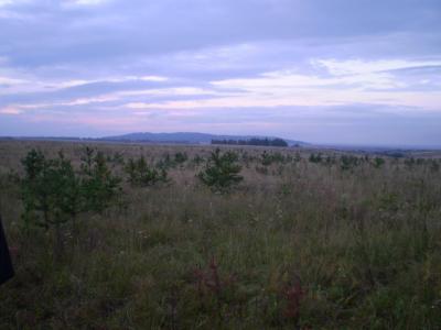 Прикрепленное изображение: P8061174.JPG