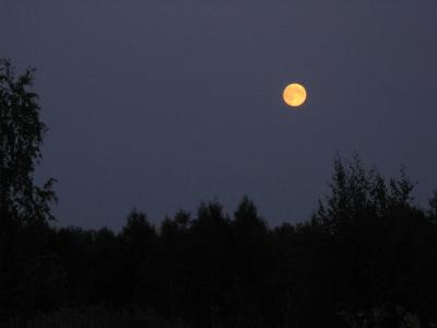 Прикрепленное изображение: IMG_2675.jpg