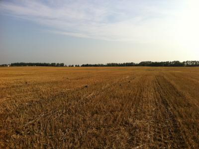 Прикрепленное изображение: IMG_0788.jpg