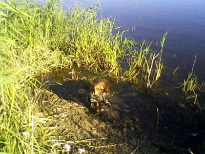 Прикрепленное изображение: Photo-0015.jpg