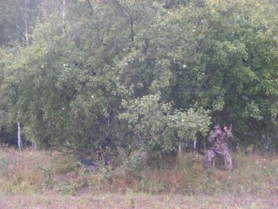 Прикрепленное изображение: BILD1157.JPG
