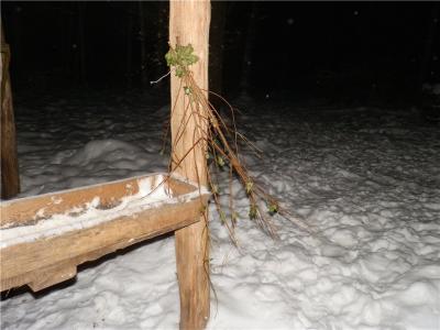 Прикрепленное изображение: 71975716c0b1.jpg