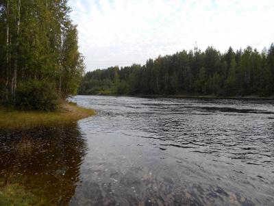 Прикрепленное изображение: DSCN1093.JPG