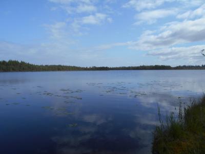 Прикрепленное изображение: DSCN1082.JPG