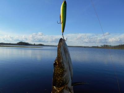 Прикрепленное изображение: DSCN5789.JPG
