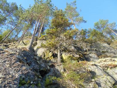 Прикрепленное изображение: DSCN5667.JPG
