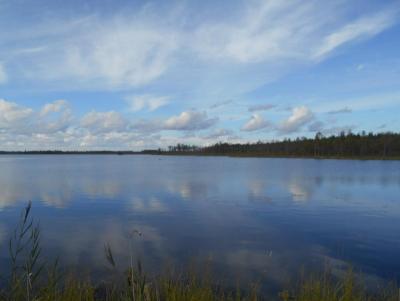 Прикрепленное изображение: DSCN5782.JPG