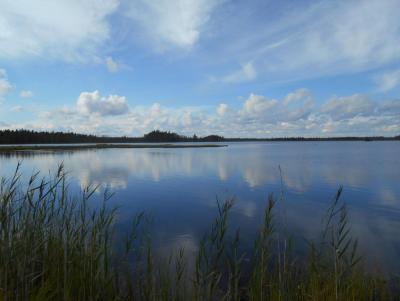 Прикрепленное изображение: DSCN5781.JPG