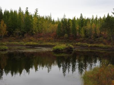 Прикрепленное изображение: DSCN1183.JPG