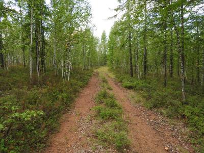 Прикрепленное изображение: DSCN1052.jpg
