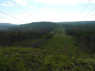 Прикрепленное изображение: DSCN1056.jpg