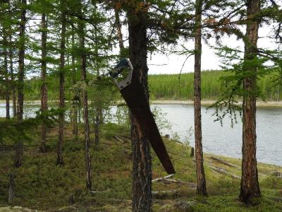 Прикрепленное изображение: DSCN0838.JPG