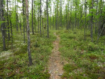 Прикрепленное изображение: DSCN0767.JPG