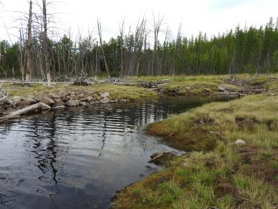 Прикрепленное изображение: DSCN0860.JPG