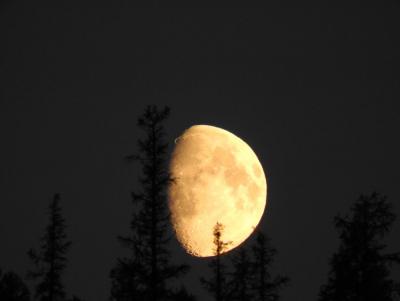 Прикрепленное изображение: DSCN0938.JPG
