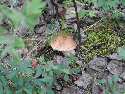 Прикрепленное изображение: DSCN1053.jpg