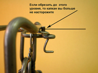 Прикрепленное изображение: Кировские насторожка 2.jpg