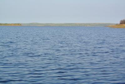 Прикрепленное изображение: DSC_3989.JPG