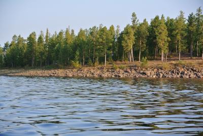 Прикрепленное изображение: DSC_3975.JPG
