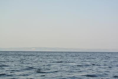 Прикрепленное изображение: DSC_4252.JPG