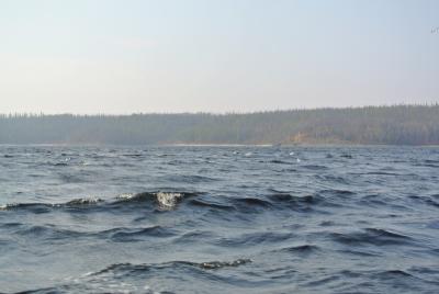 Прикрепленное изображение: DSC_4267.JPG