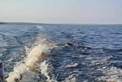 Прикрепленное изображение: DSC_4010.JPG
