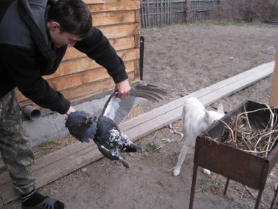 Прикрепленное изображение: IMG_5677.jpg