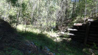 Прикрепленное изображение: DSC00107.jpg