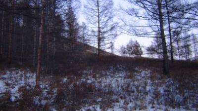 Прикрепленное изображение: DSC00071.jpg