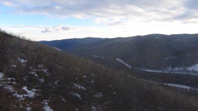 Прикрепленное изображение: DSC00063.jpg