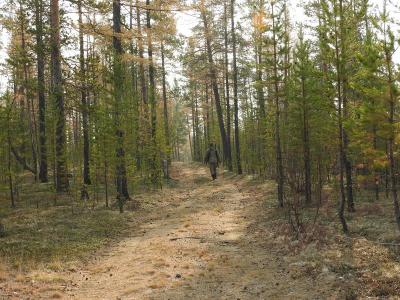 Прикрепленное изображение: DSCN1530.JPG