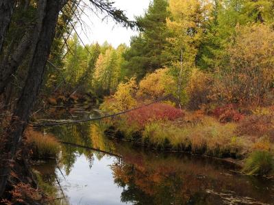Прикрепленное изображение: DSCN1257.JPG