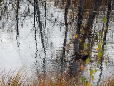 Прикрепленное изображение: DSCN1224.JPG