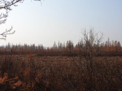 Прикрепленное изображение: DSCN1671.JPG