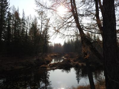 Прикрепленное изображение: DSCN1469.JPG